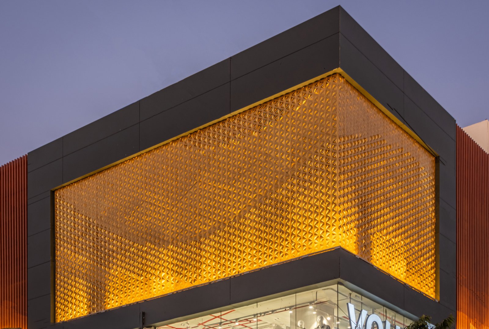 Axes in Excess: Pioneering the future of architectural design with precision parametric metal facades.