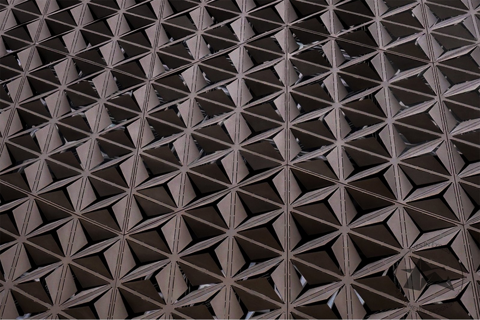 Blossom-inspired parametric facade by Axes in Exces